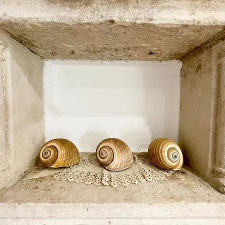 Apartamento House Kucija Old Town *