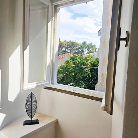 House Kucija Old Town Korčula